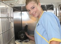 Kennel attendant with a dog: Animal Hospital in Doha