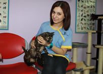 Dog and Cat Promotions in Doha, Qatar
