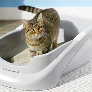 Litter Trays & Accessories