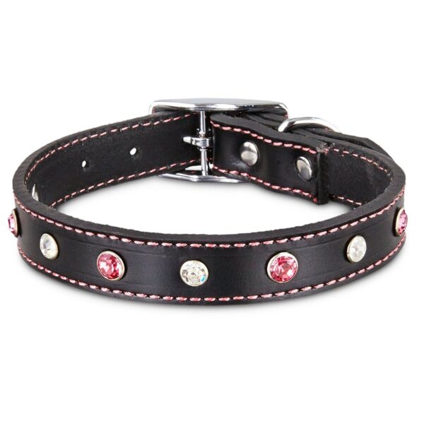 Bond & Co. Pink Jewel Leather Dog collar