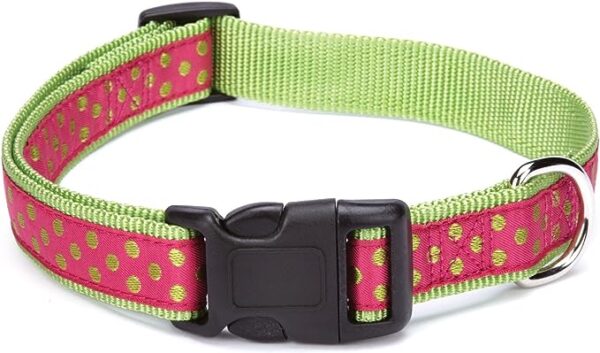 ESC Polka Dot Dog Collar 14–20-Inch-Raspberry