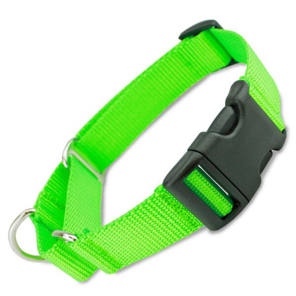 GG Collar with Buckle, Lime Green Nylon
