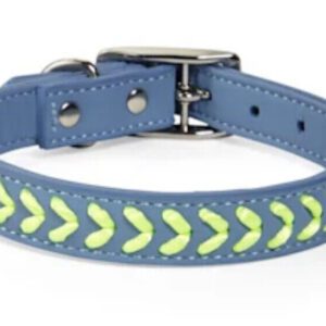 YOULY the Extrovert Blue & Green Braided Dog Collar, S