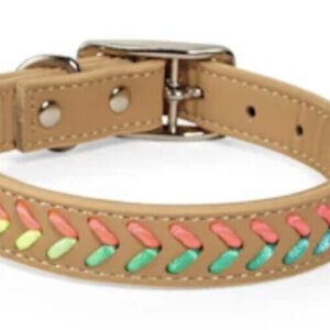 YOULY the Extrovert Tan & Rainbow Braided Dog Collar, M