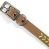 YOULY the Extrovert Tan & Rainbow Braided Dog Collar, M