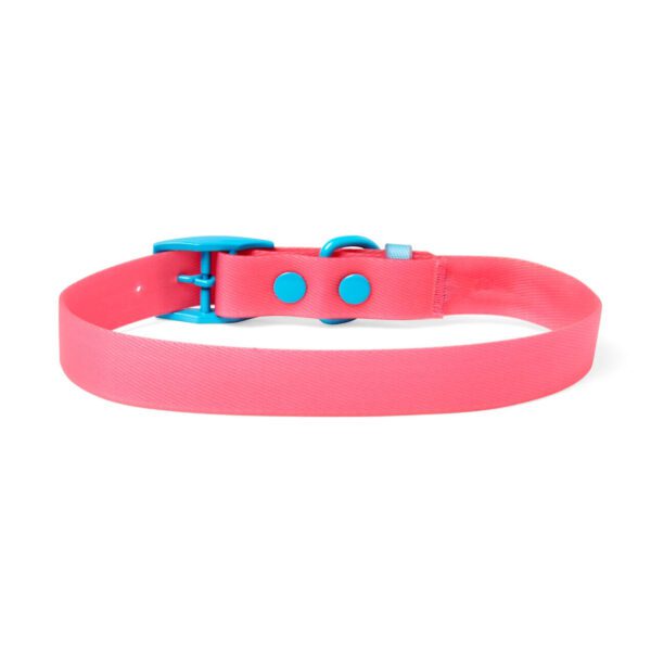 YOULY Water-Resistant Pink & Blue Dog Collar