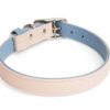 YOULY the Heir Pink & Blue Dog Collar, S