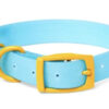 YOULY the Extrovert Color Block Blue & Yellow Dog Collar