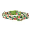 YOULY Green Multicolor Go Fig-ure Dog Collar Large