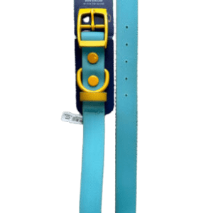 YOULY Color Block Blue & Yellow Dog Collar